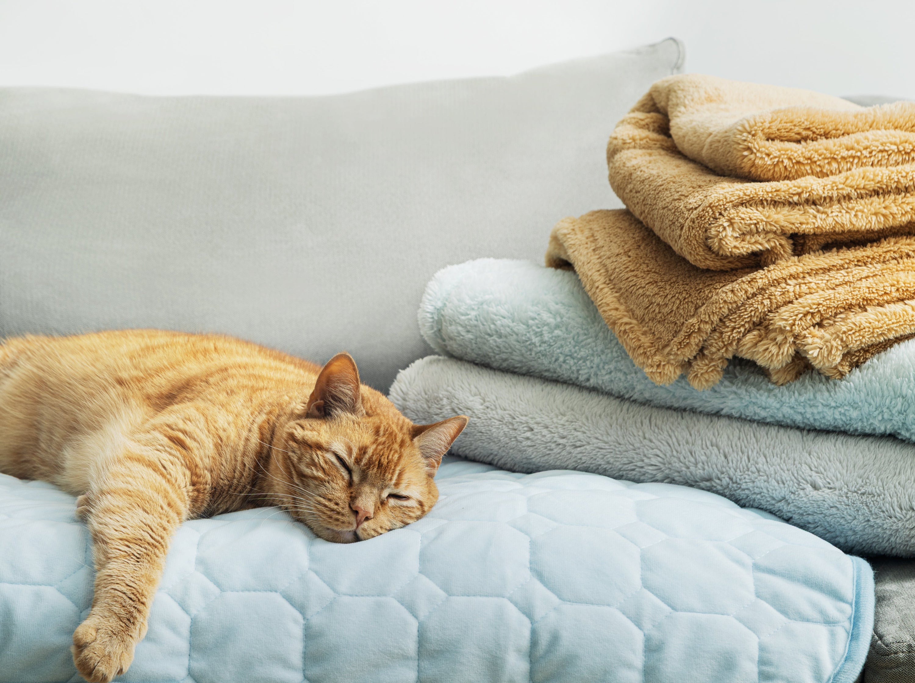 CoreComfort™ Bed Pad Series