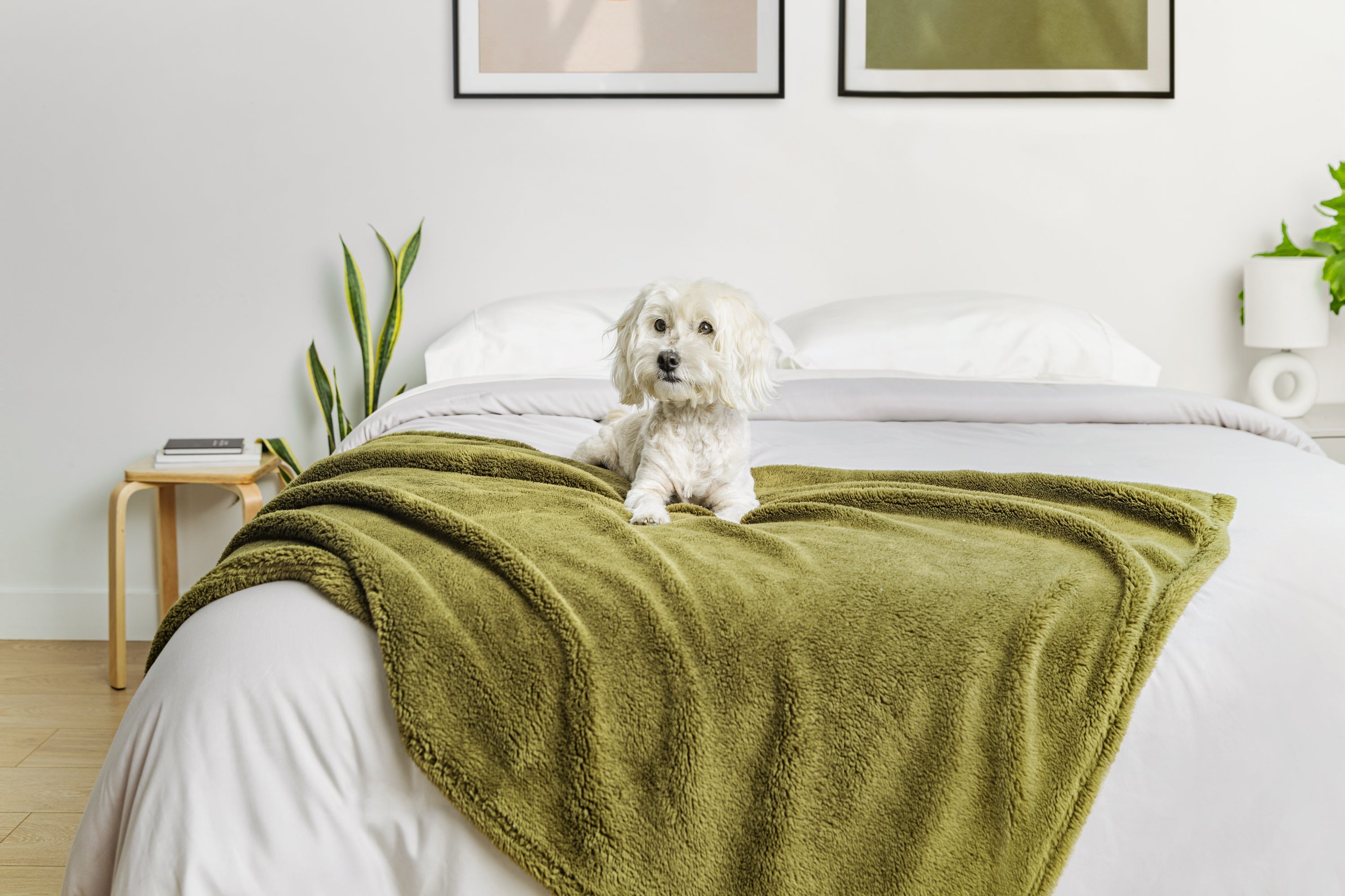 Zen Blanket Large