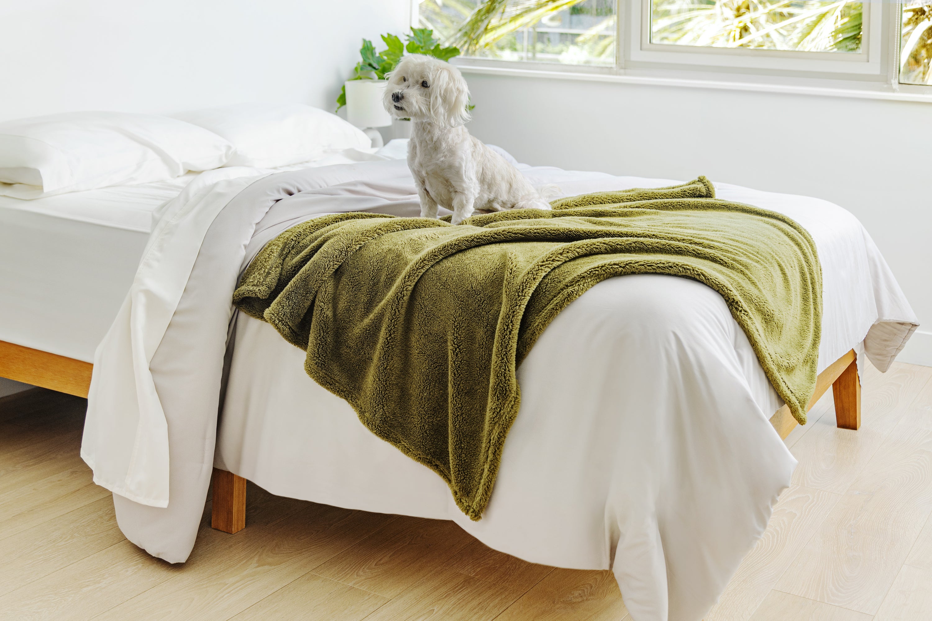 Zen Blanket Large