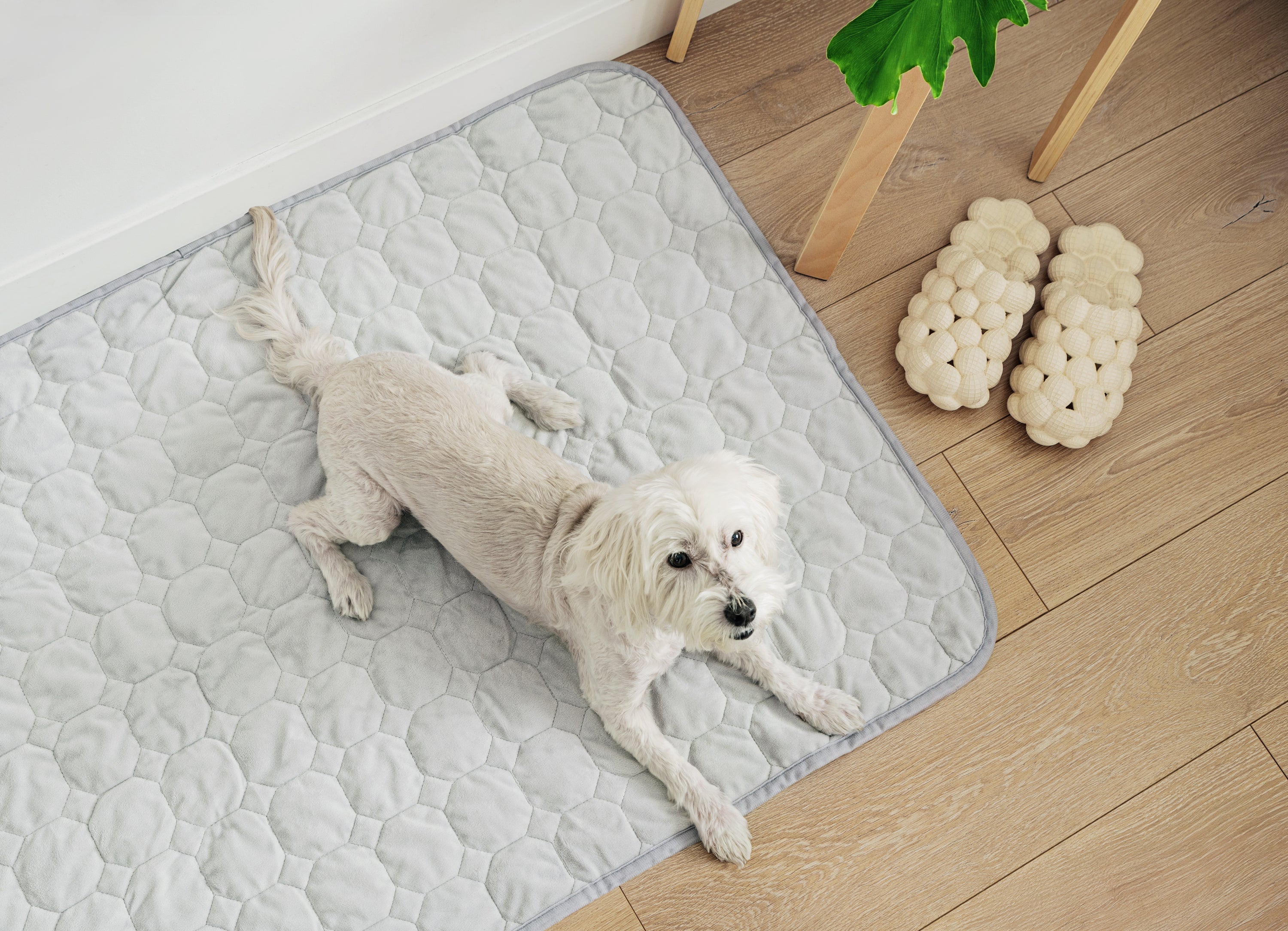 CoreComfort Pad Medium