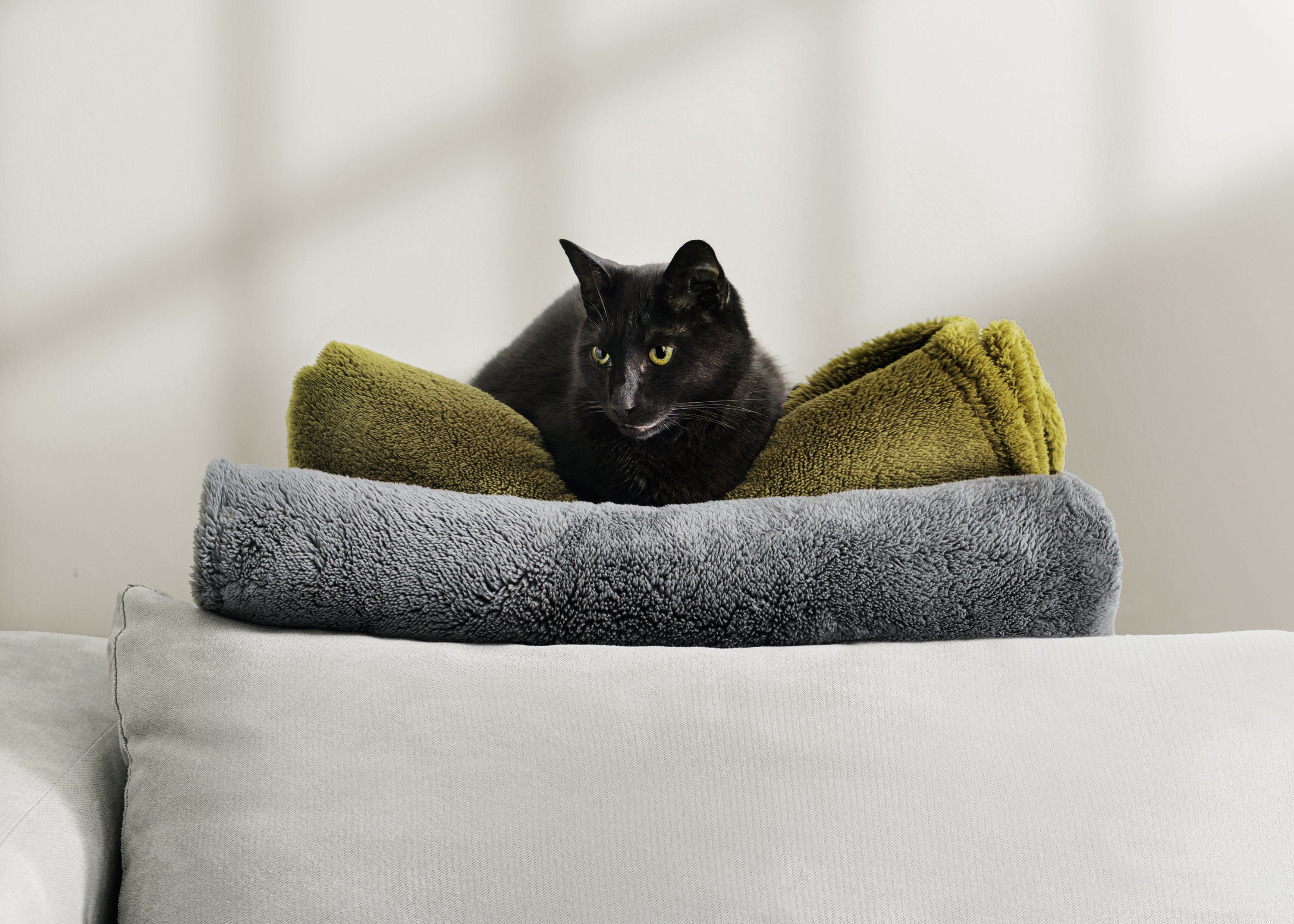 Zen Blanket Large
