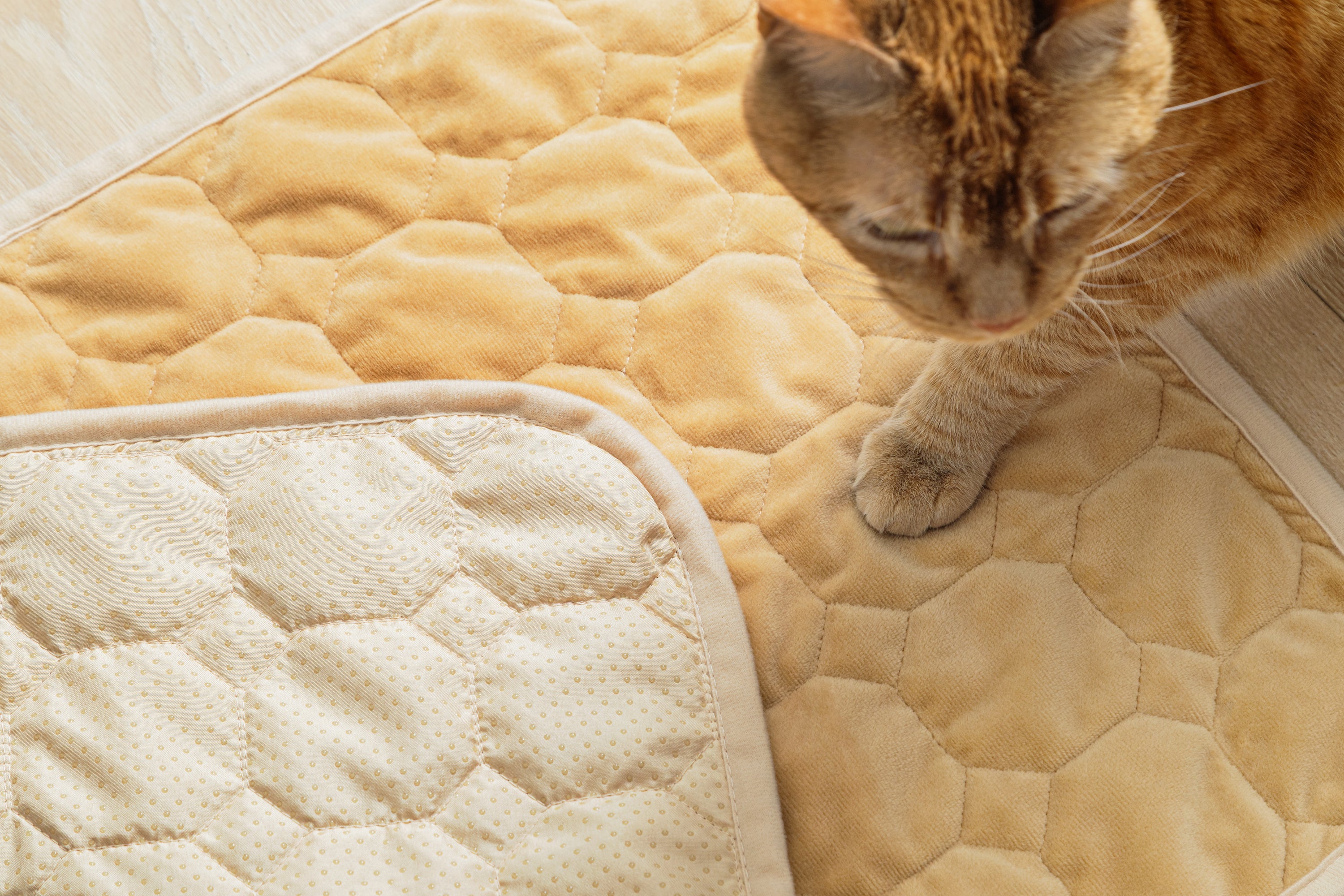 CoreComfort Pad Medium