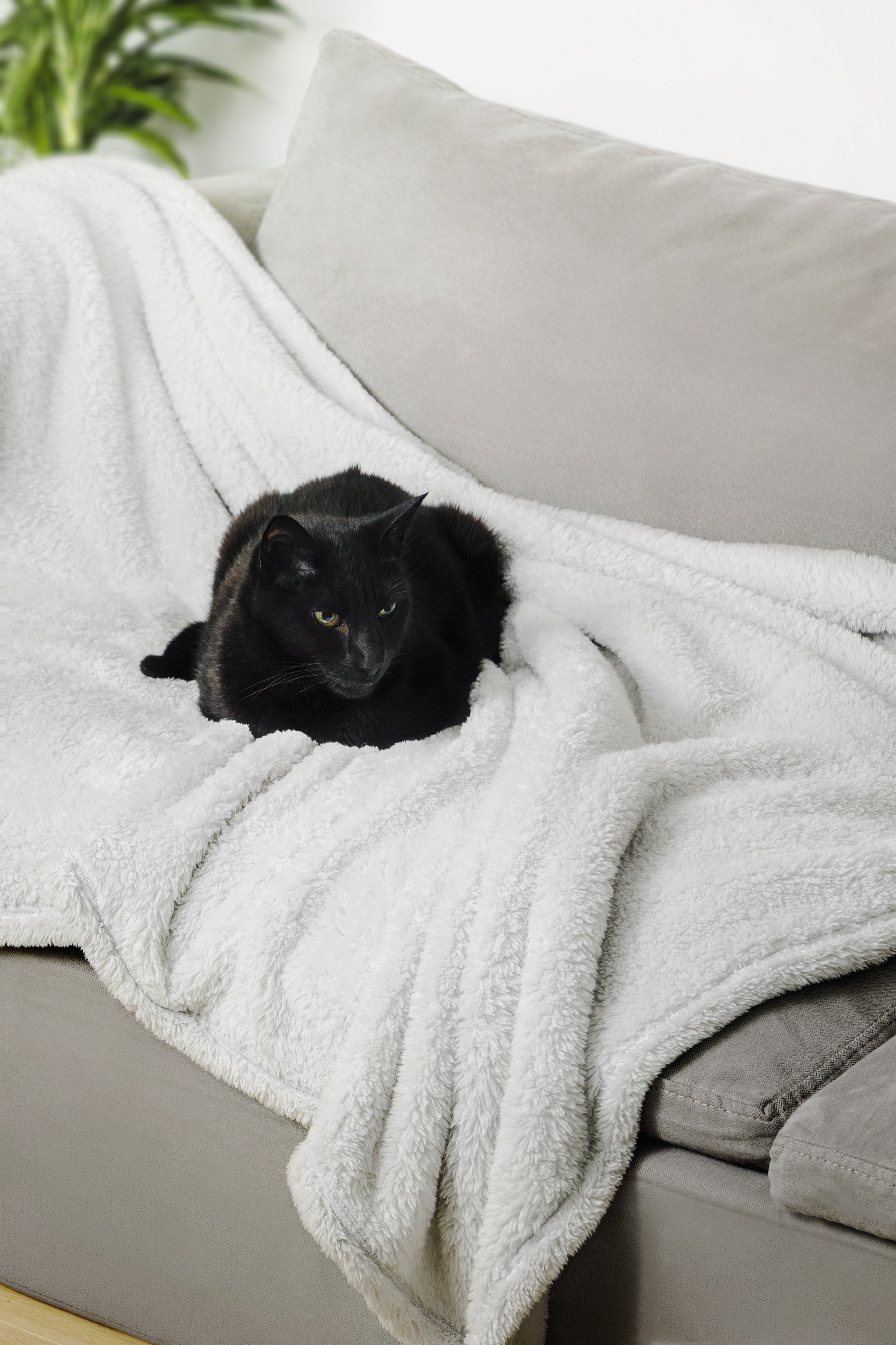 Zen Blanket Large