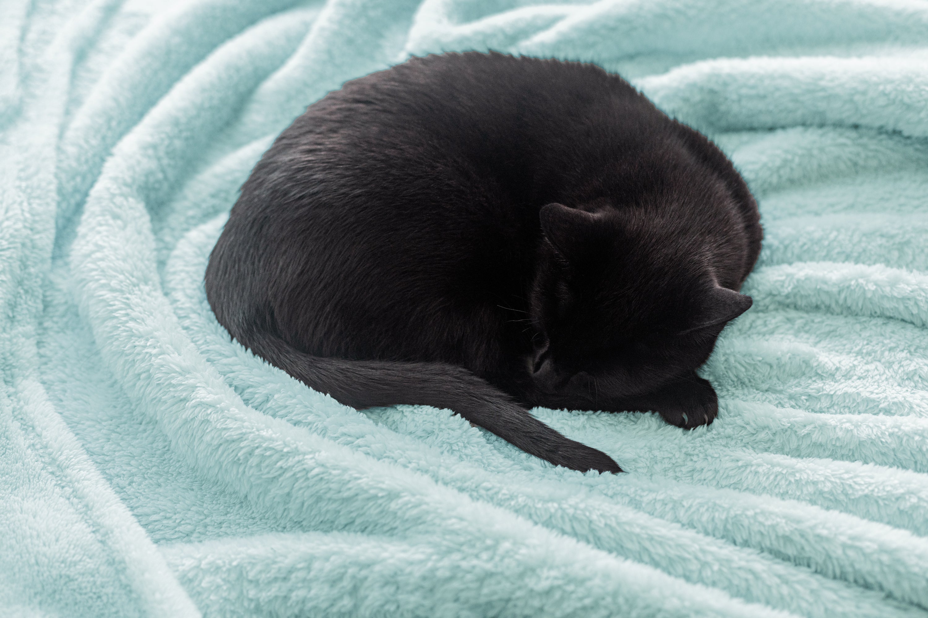 Zen Blanket Large